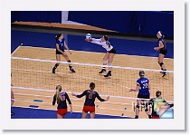 Set 1 * (156 Slides)